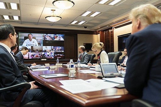 Governors' Video Teleconference on Partnership for the COVID-19 Response (Official White House Photo by Andrea Hanks).